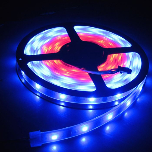 灯带一�c�_�����钱 2026最新报价及高性�h(hu��n)比厂家推�? width=